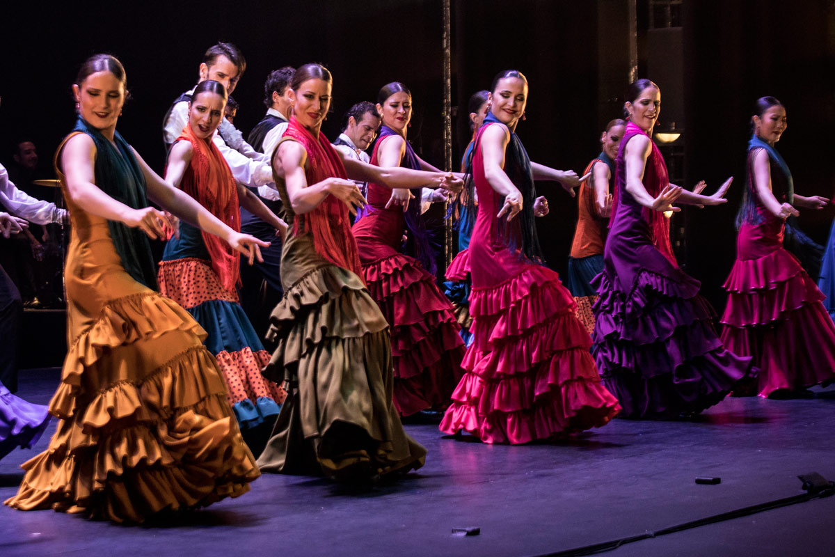 Comprar Zapato Flamenca - Pasos de Baile Online - Elena'S