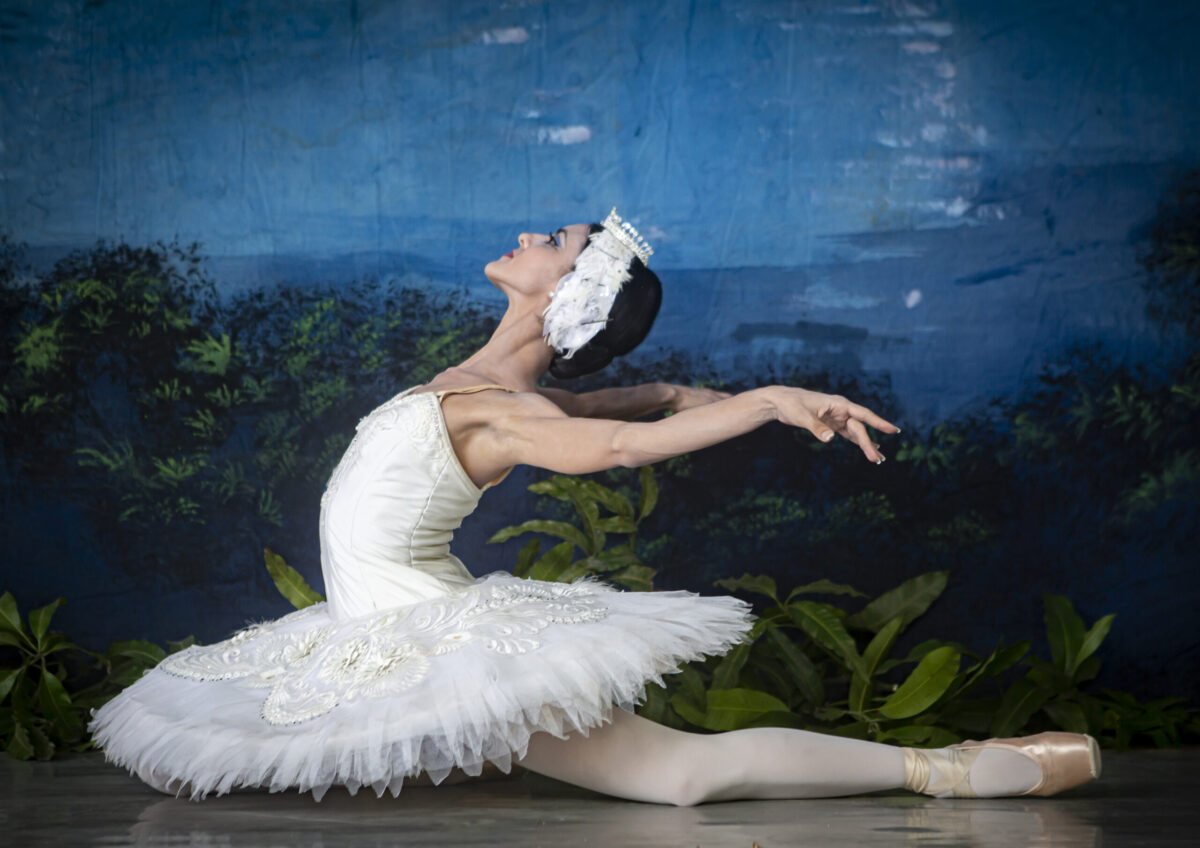 El Lago De Los Cisnes Cultural Albacete 